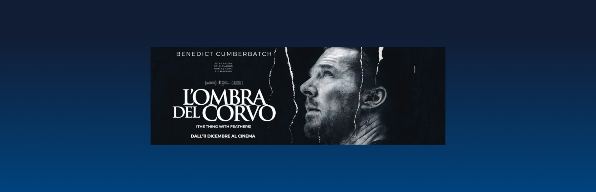 L'OMBRA DEL CORVO